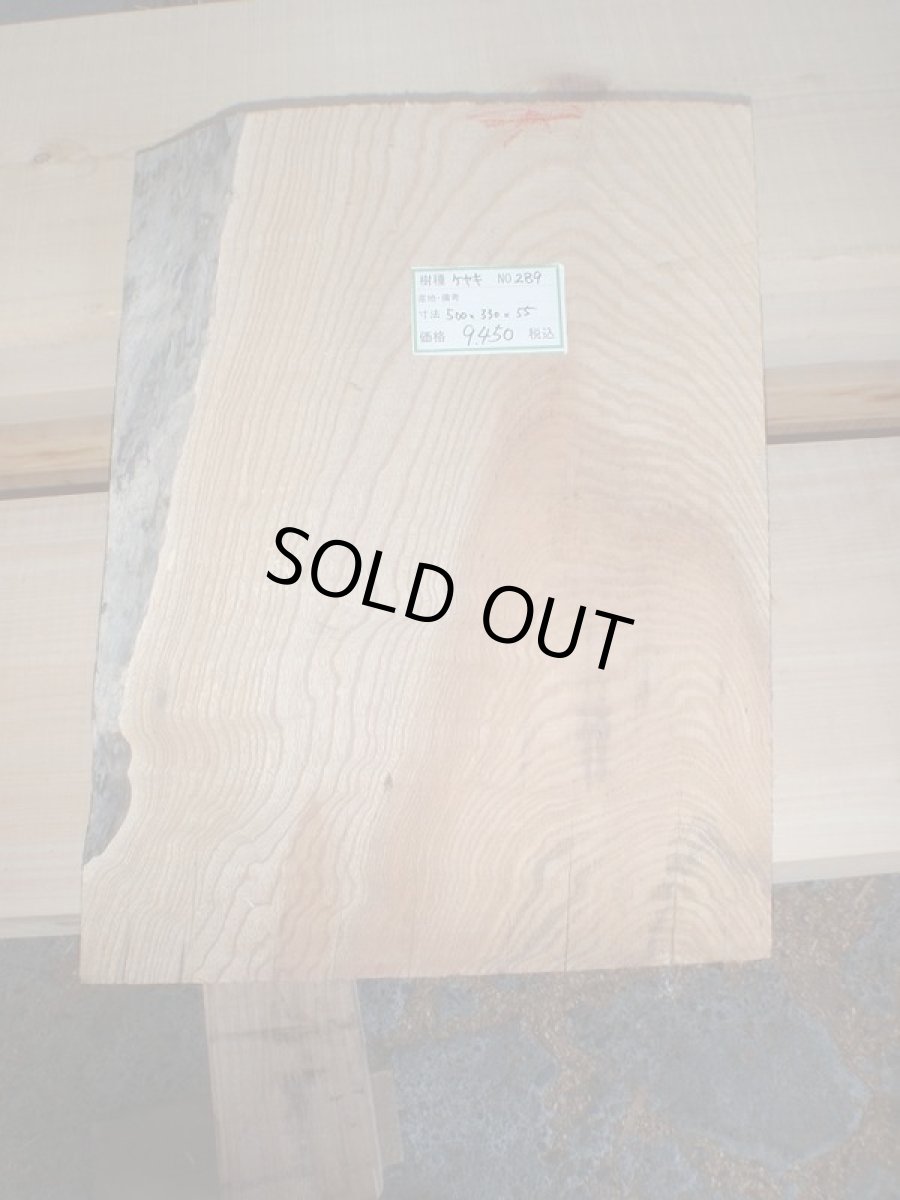 画像1: 欅(ケヤキ)-289 (1)