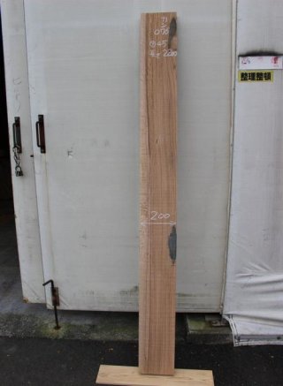 樫 カシ ウッドショップシンマ