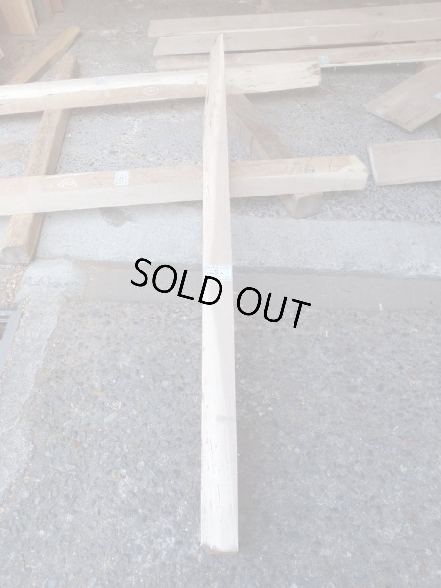 画像1: 胡桃(クルミ)-064 (1)