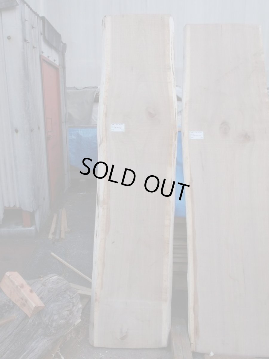 画像1: 胡桃(クルミ)-049 (1)