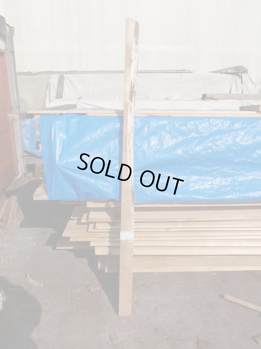 画像1: 胡桃(クルミ)-066 (1)