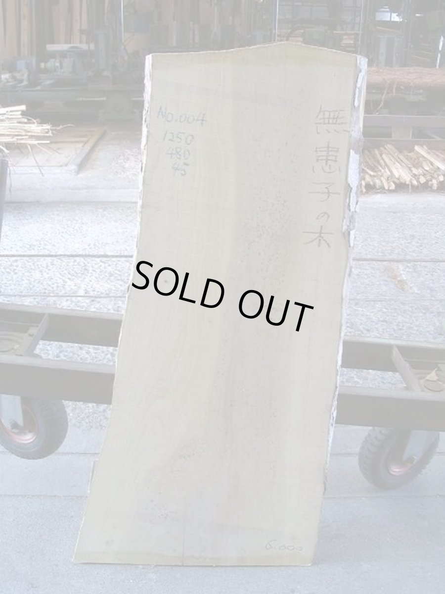 画像1: 無患子(ムクロジ)-004 (1)