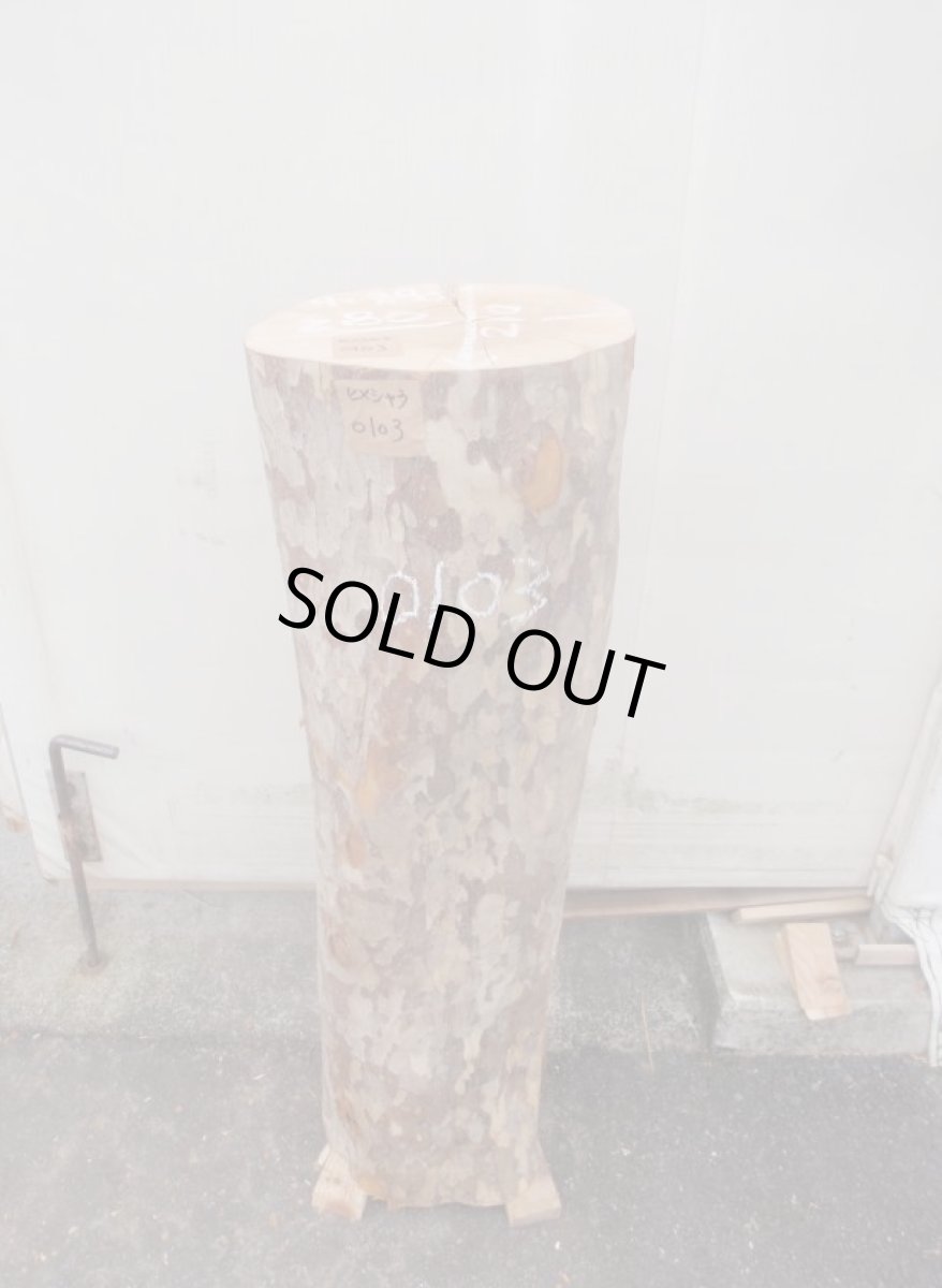 画像1: 丸太（マルタ）-103 (1)