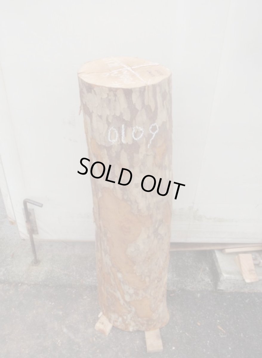 画像1: 丸太（マルタ）-109 (1)