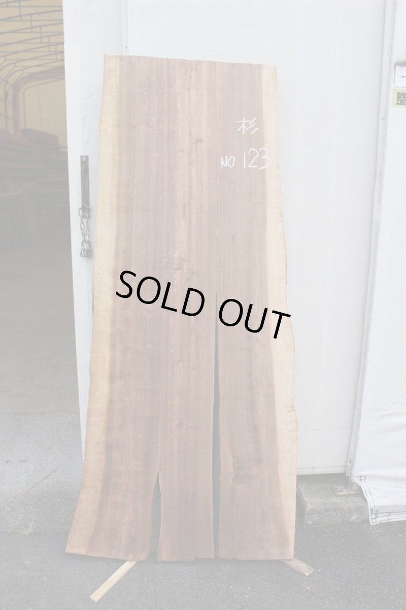 画像2: 杉（スギ）-123 (2)