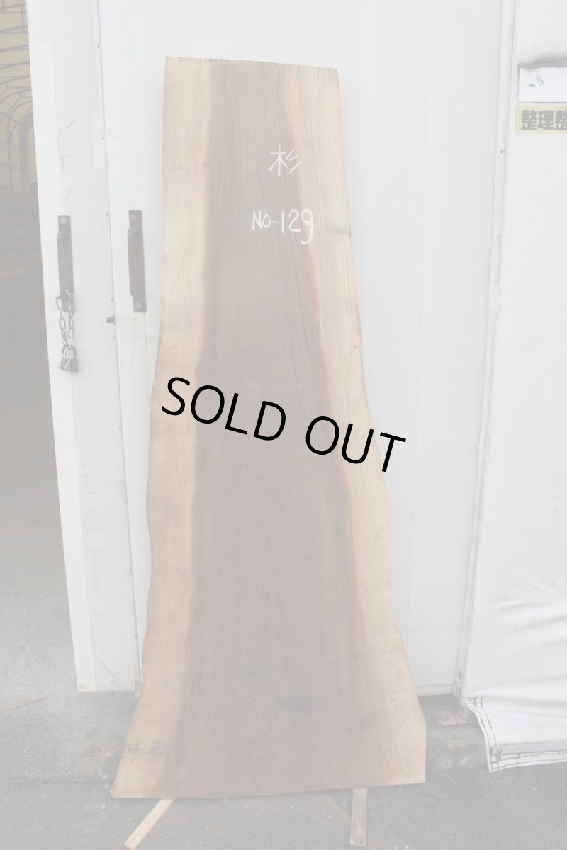 画像2: 杉（スギ）-129 (2)