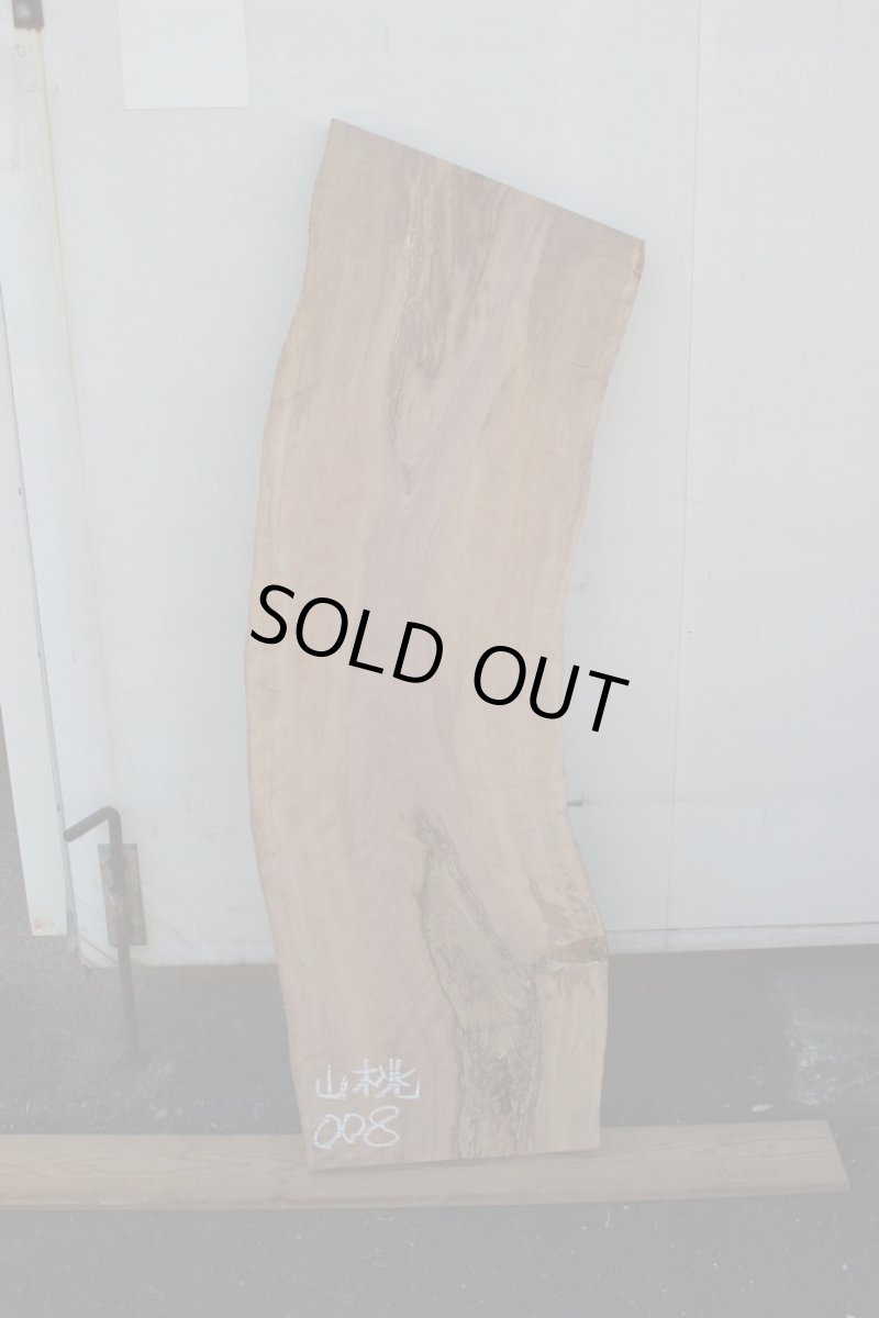 画像2: 山桃(ヤマモモ)-008 (2)