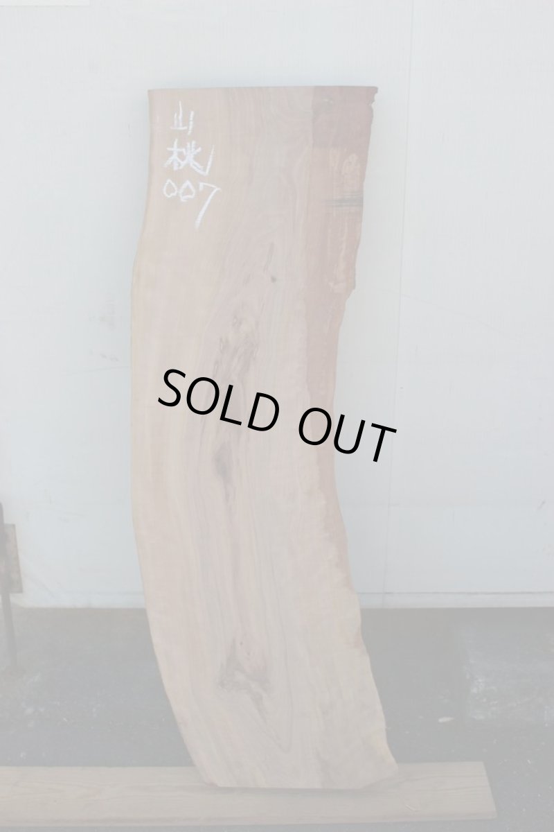 画像2: 山桃(ヤマモモ)-007 (2)