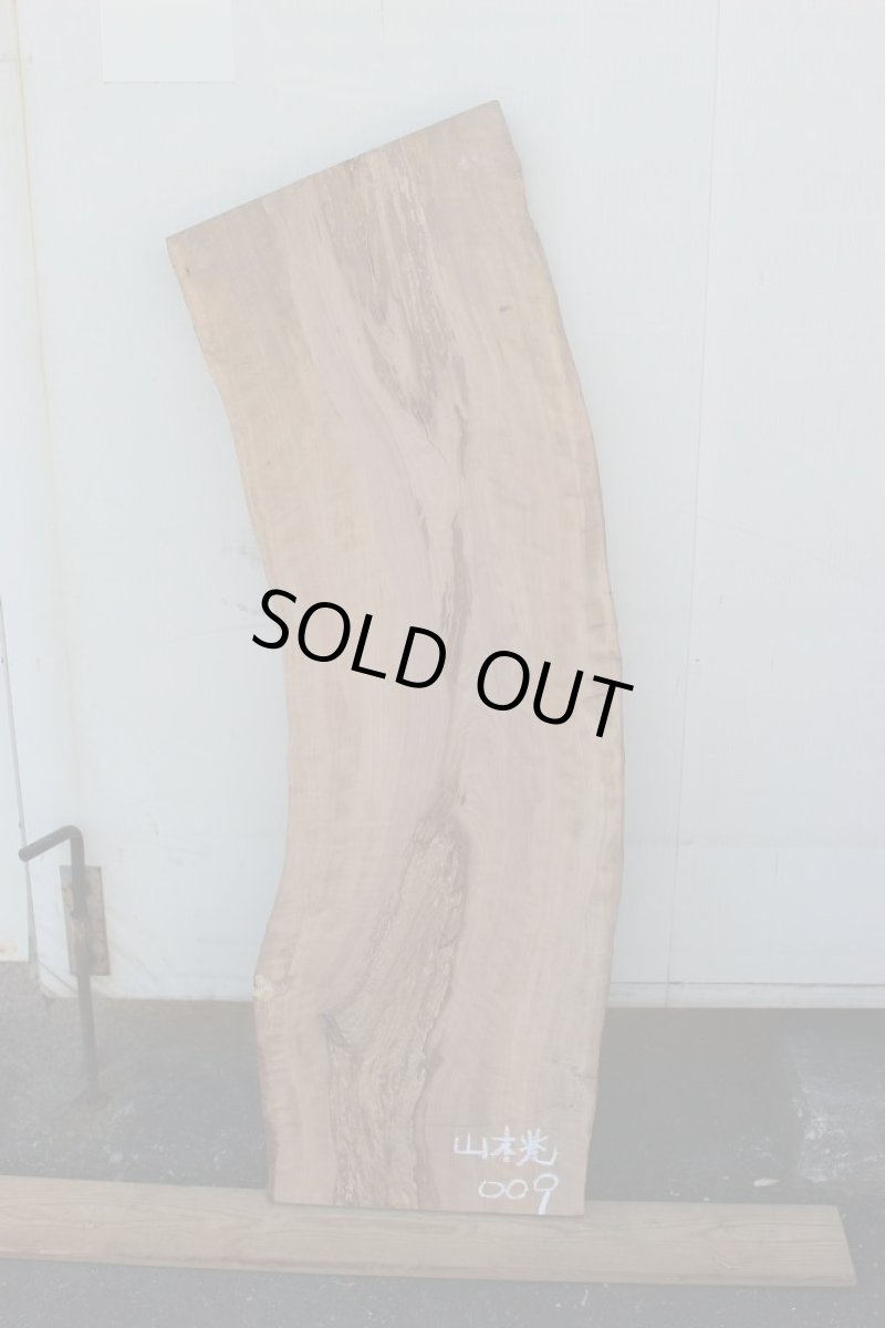 画像2: 山桃(ヤマモモ)-009 (2)