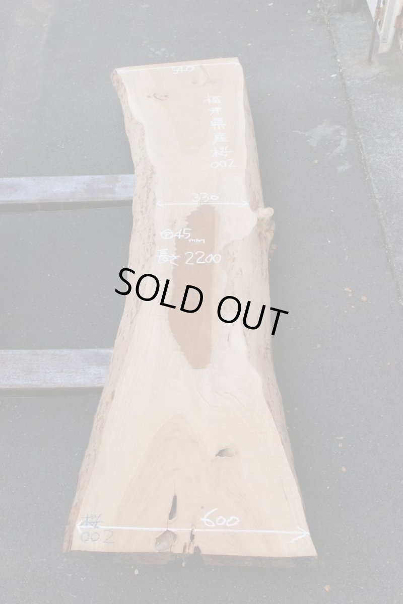 画像1: 桜(サクラ)-002 (1)