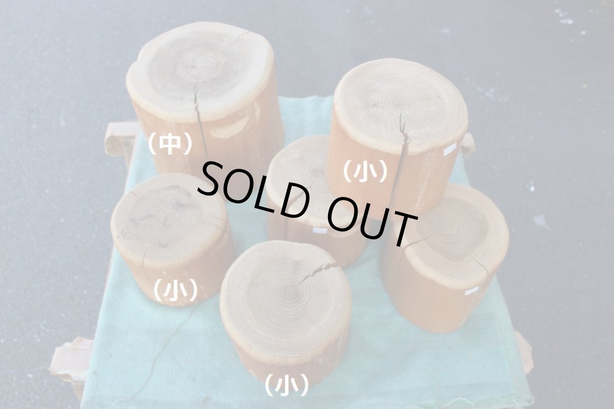 画像2: 丸太（マルタ）-169　ＫＡＮちゃん(小) (2)