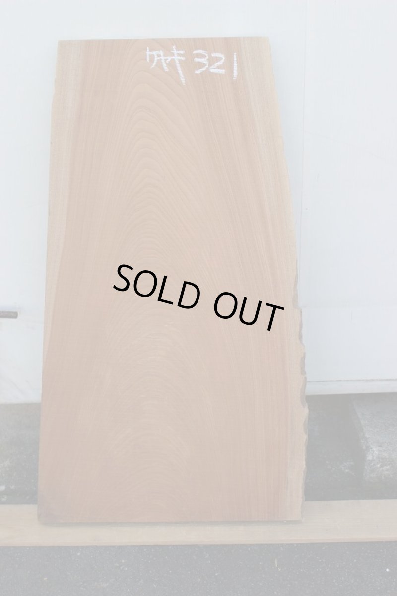 画像2: 欅(ケヤキ)-321 (2)