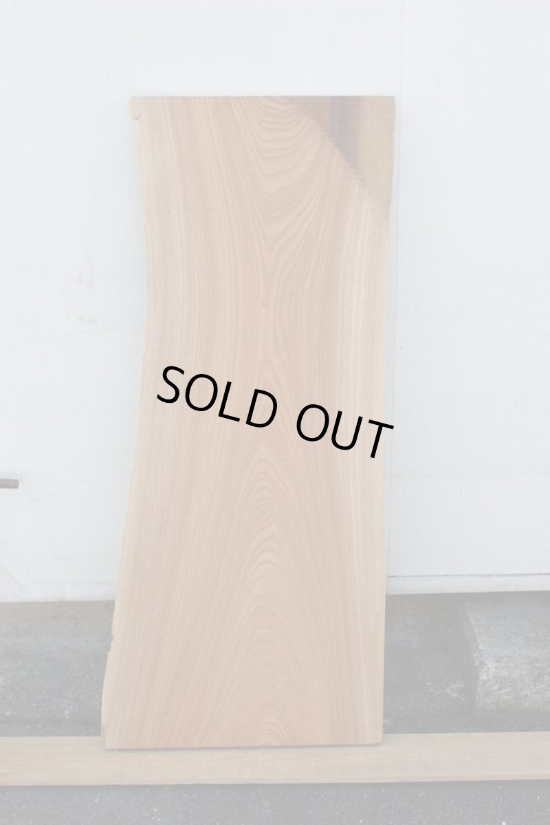 画像2: 欅(ケヤキ)-322 (2)