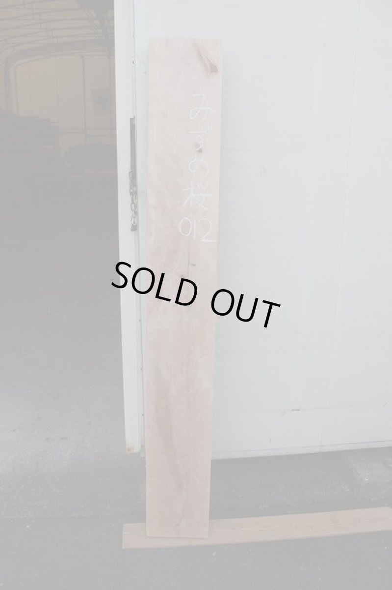 画像2: 水目桜(ミズメサクラ)-012 (2)