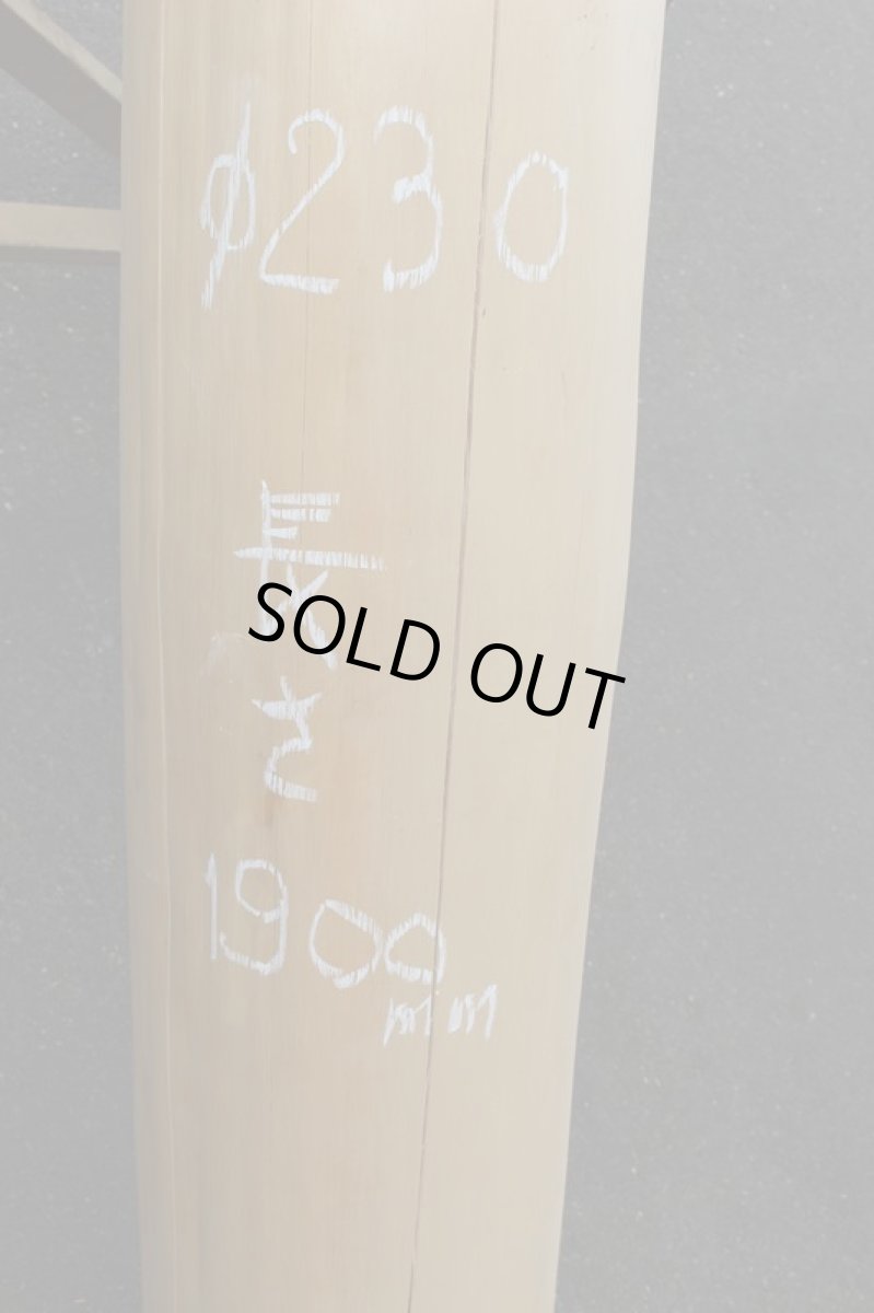 画像4: 丸太（マルタ）-185 (4)