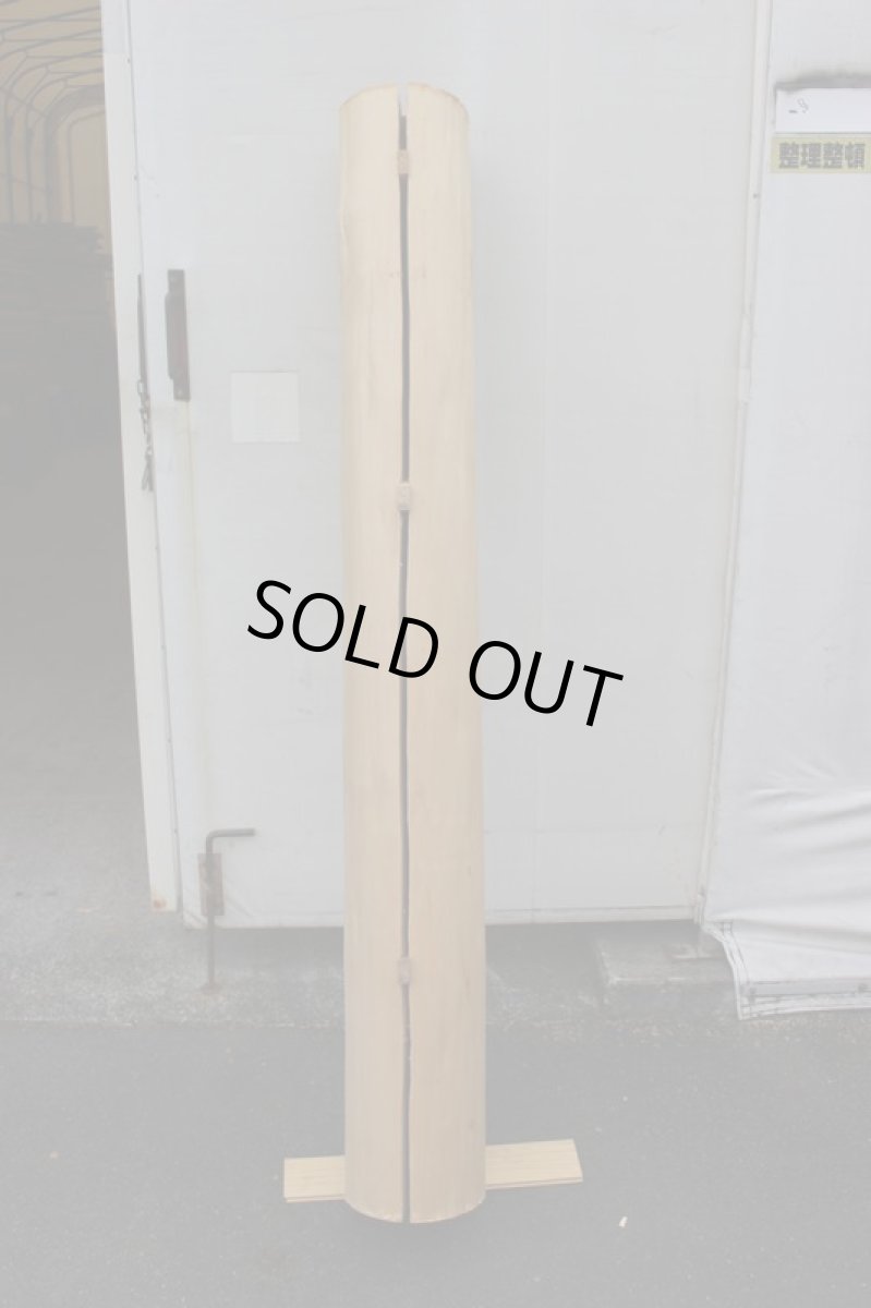 画像2: 丸太（マルタ）-185 (2)