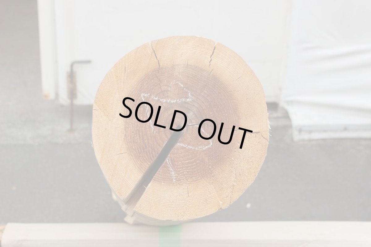 画像3: 丸太（マルタ）-185 (3)