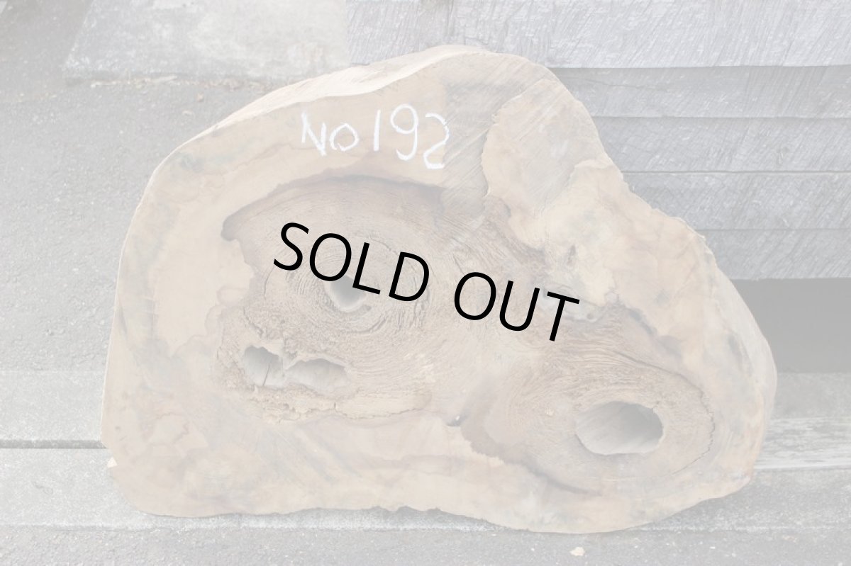 画像2: 丸太（マルタ）-192 (2)