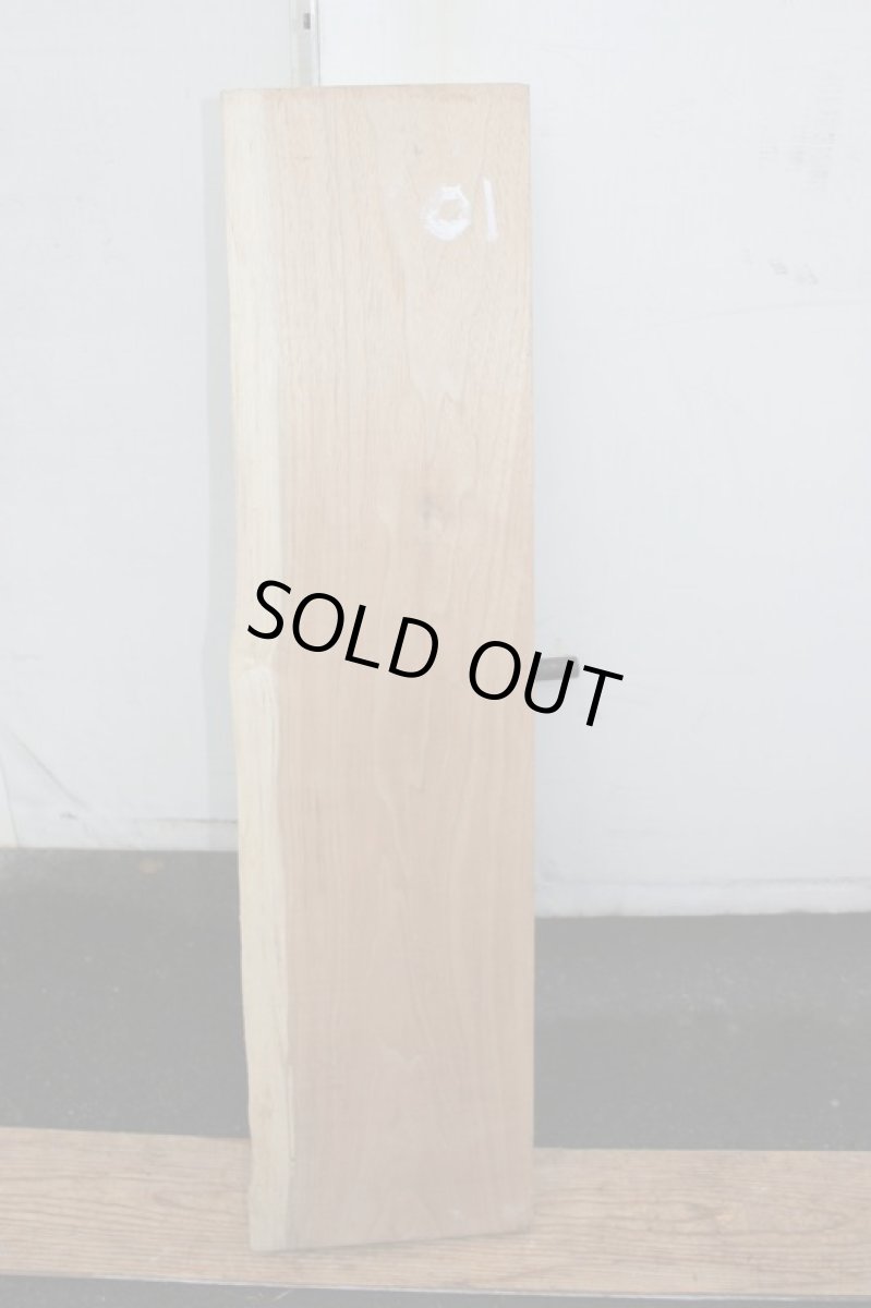 画像2: スポルテッド-001 (2)