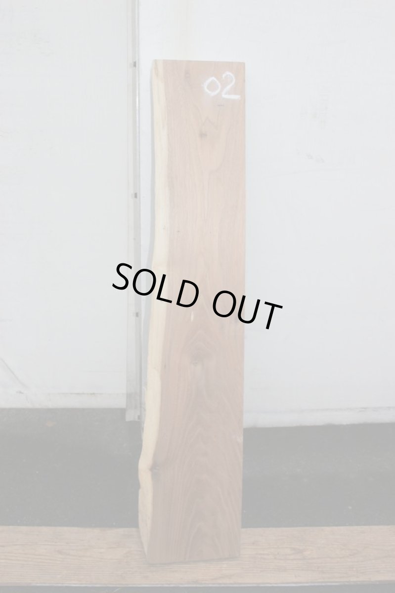 画像2: スポルテッド-002 (2)