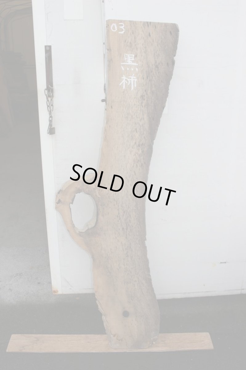 画像2: スポルテッド-003 (2)