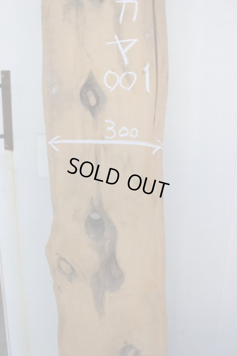 画像3: 榧(カヤ)-001 (3)