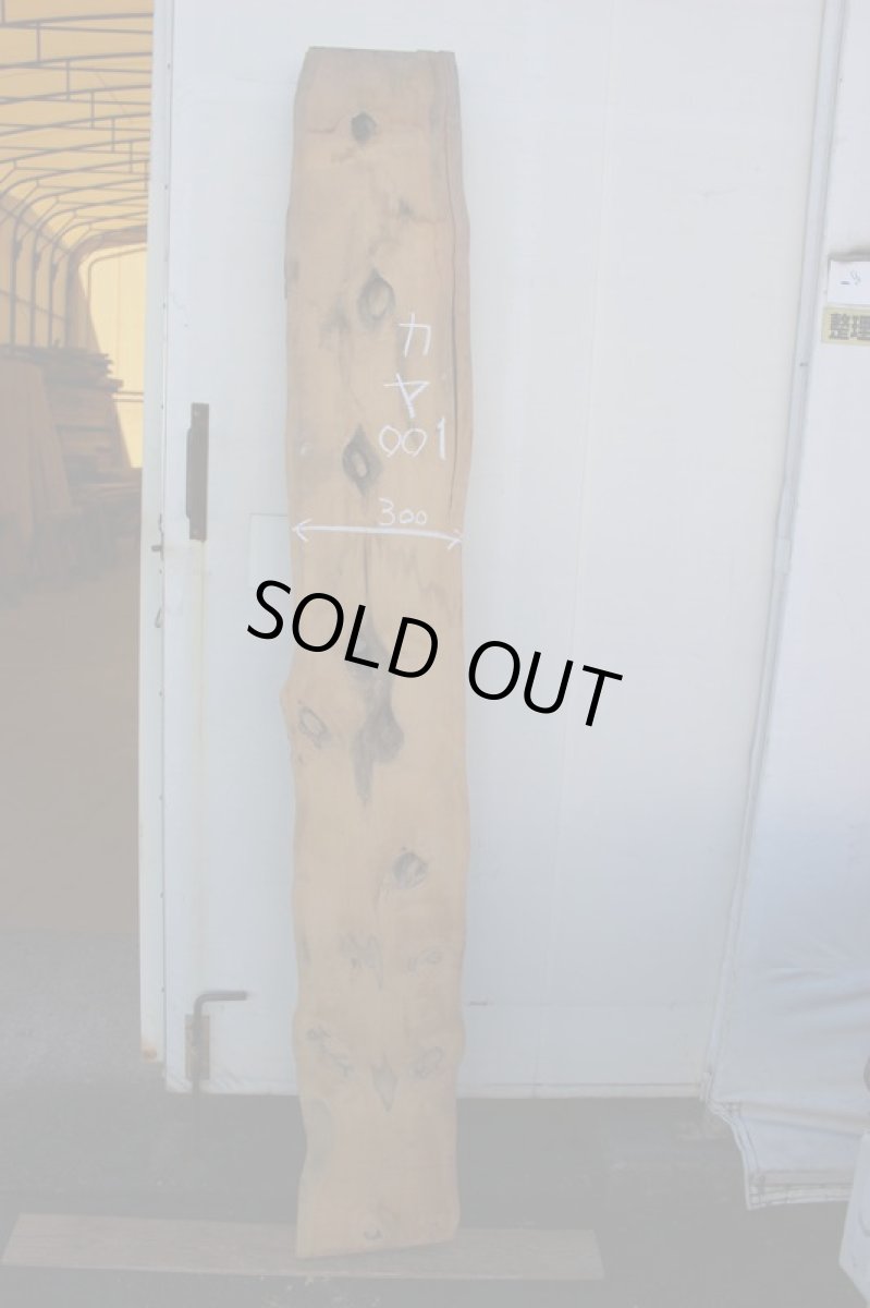 画像2: 榧(カヤ)-001 (2)