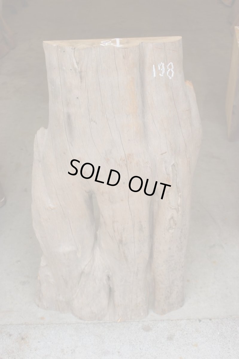 画像2: 丸太（マルタ）-198 (2)