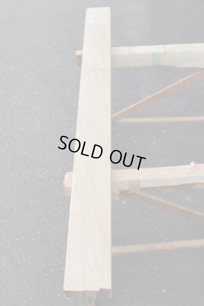 画像2: 樫(カシ)-092 (2)