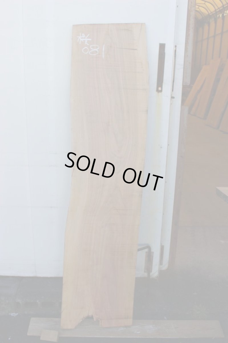 画像2: 桜(サクラ)-081 (2)