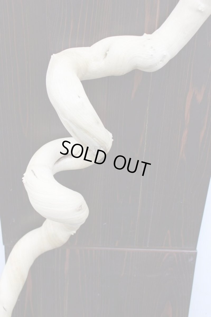 画像3: 丸太（マルタ）-242 (3)