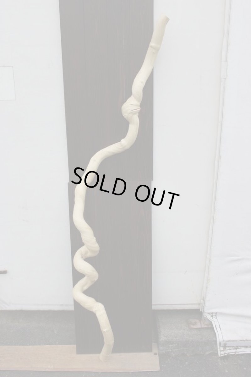 画像2: 丸太（マルタ）-242 (2)