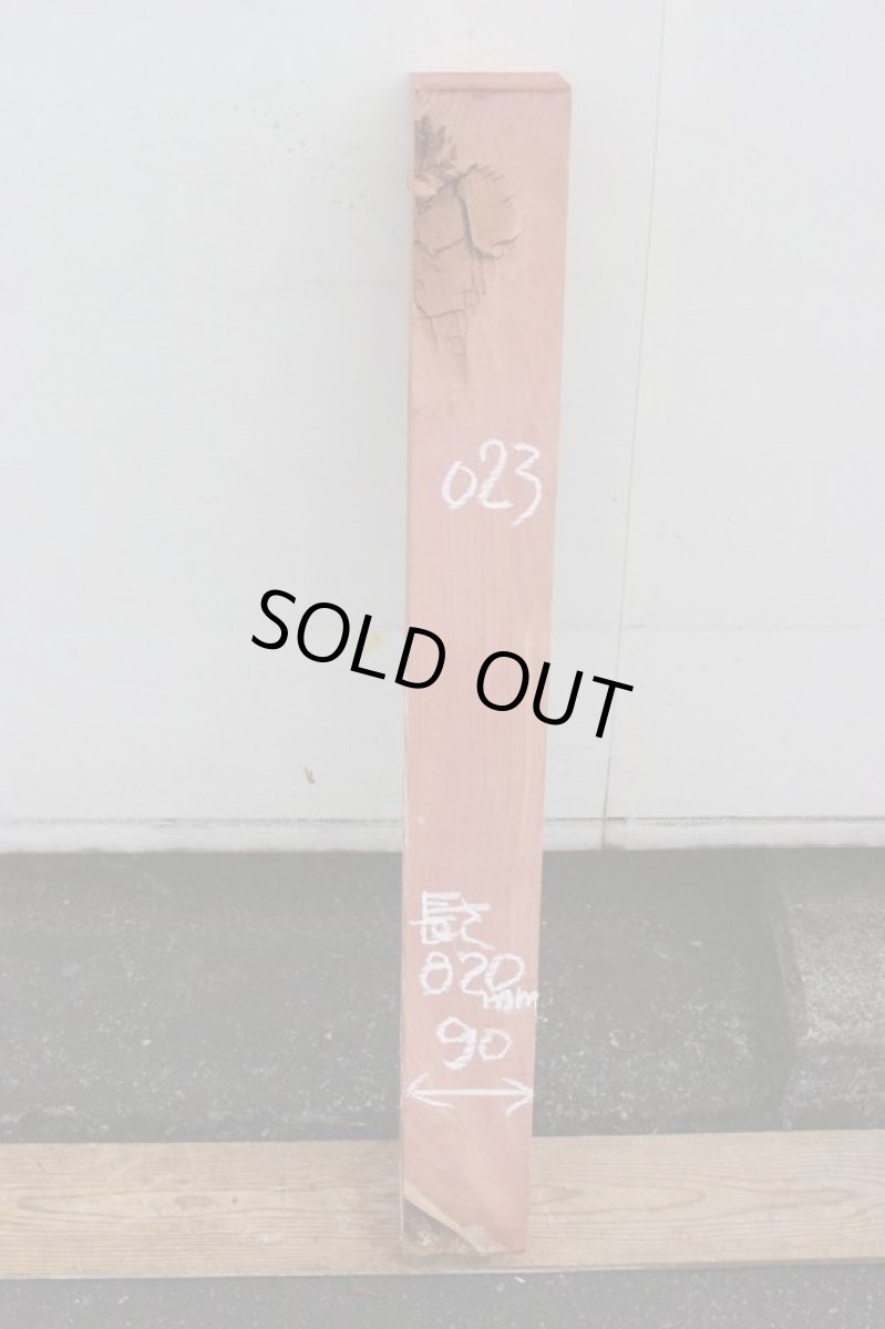 画像2: 柏槇（ビャクシン）?-023 (2)