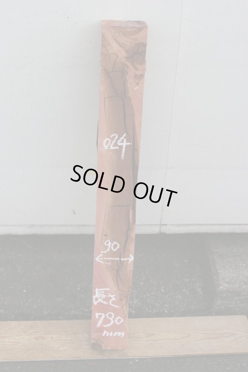 画像2: 柏槇（ビャクシン）？-024 (2)