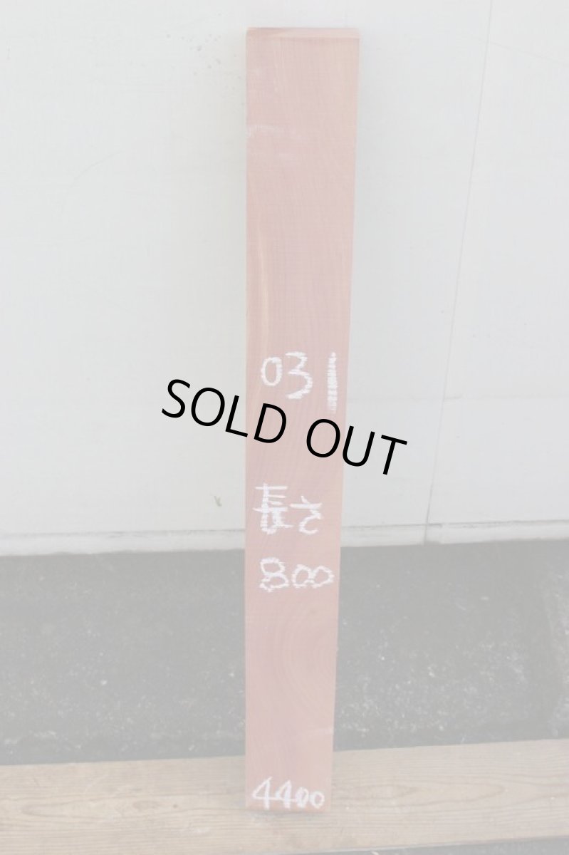 画像2: 柏槇（ビャクシン）？-031 (2)