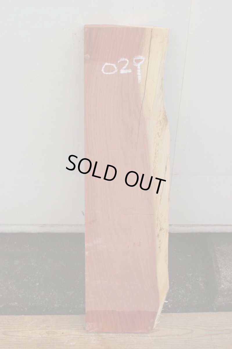 画像2: 柏槇（ビャクシン）？-029 (2)