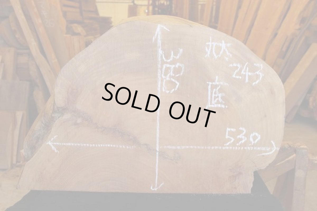 画像6: 丸太（マルタ）-243 (6)