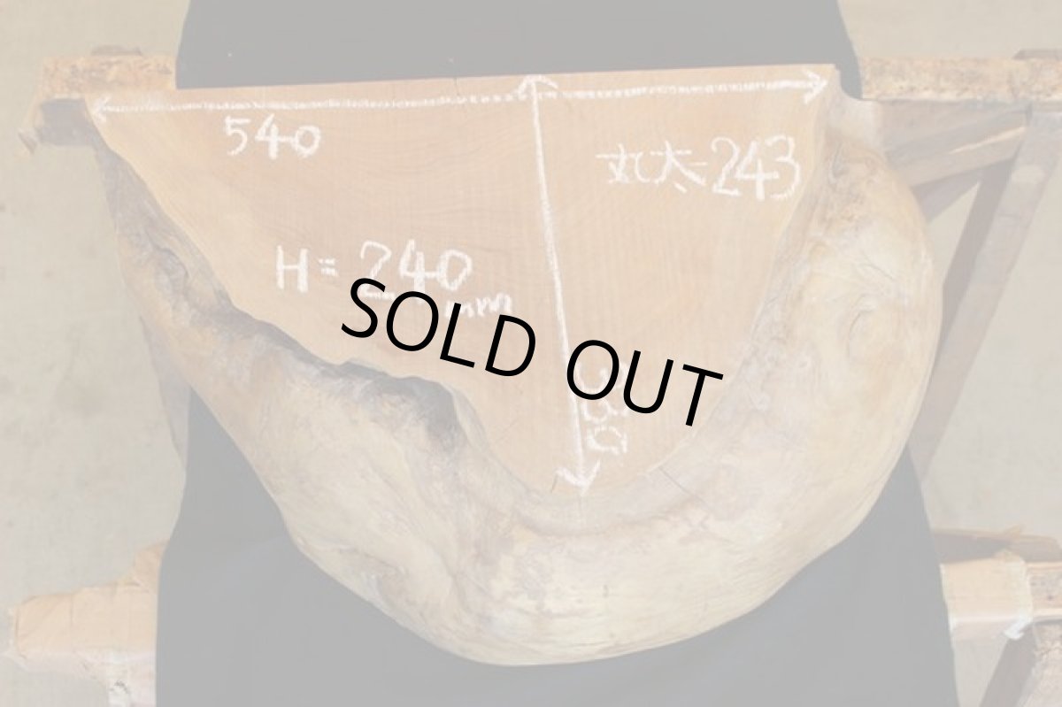 画像5: 丸太（マルタ）-243 (5)