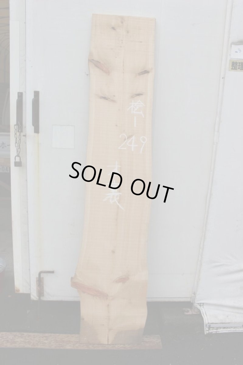 画像2: 桧(ヒノキ)-249 (2)