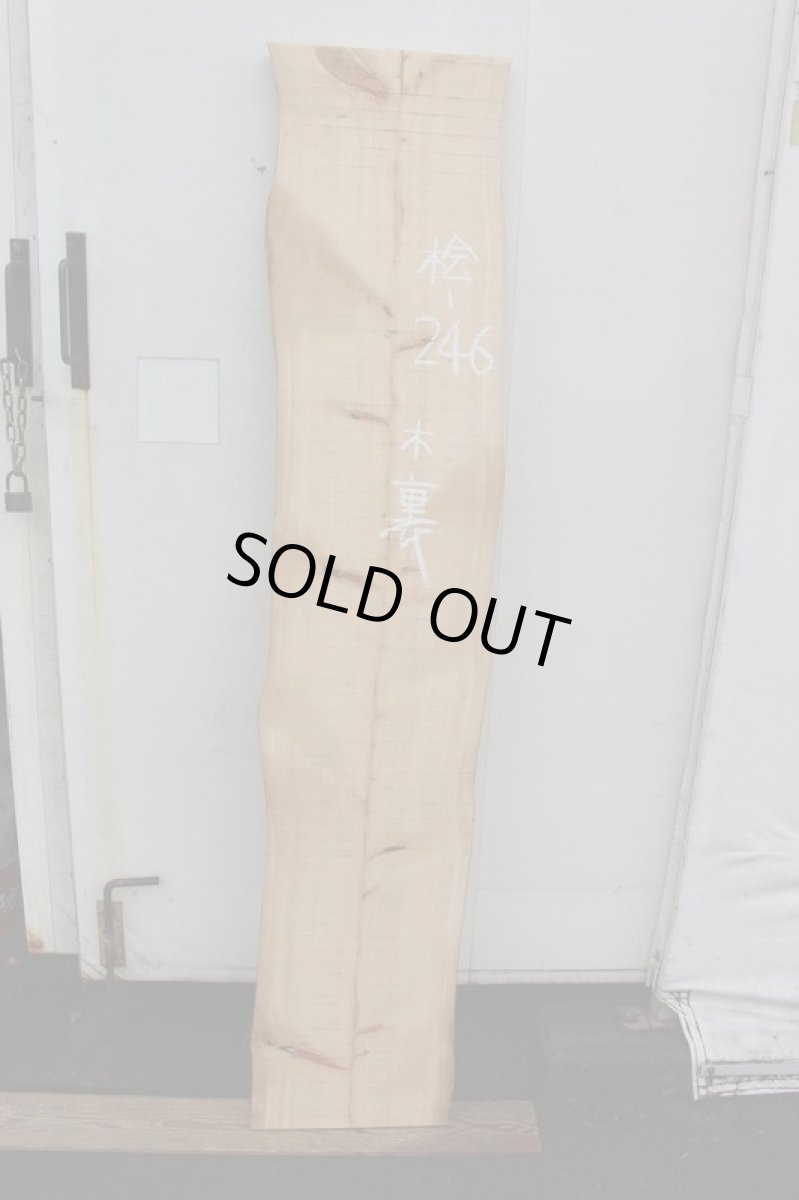 画像2: 桧(ヒノキ)-246 (2)