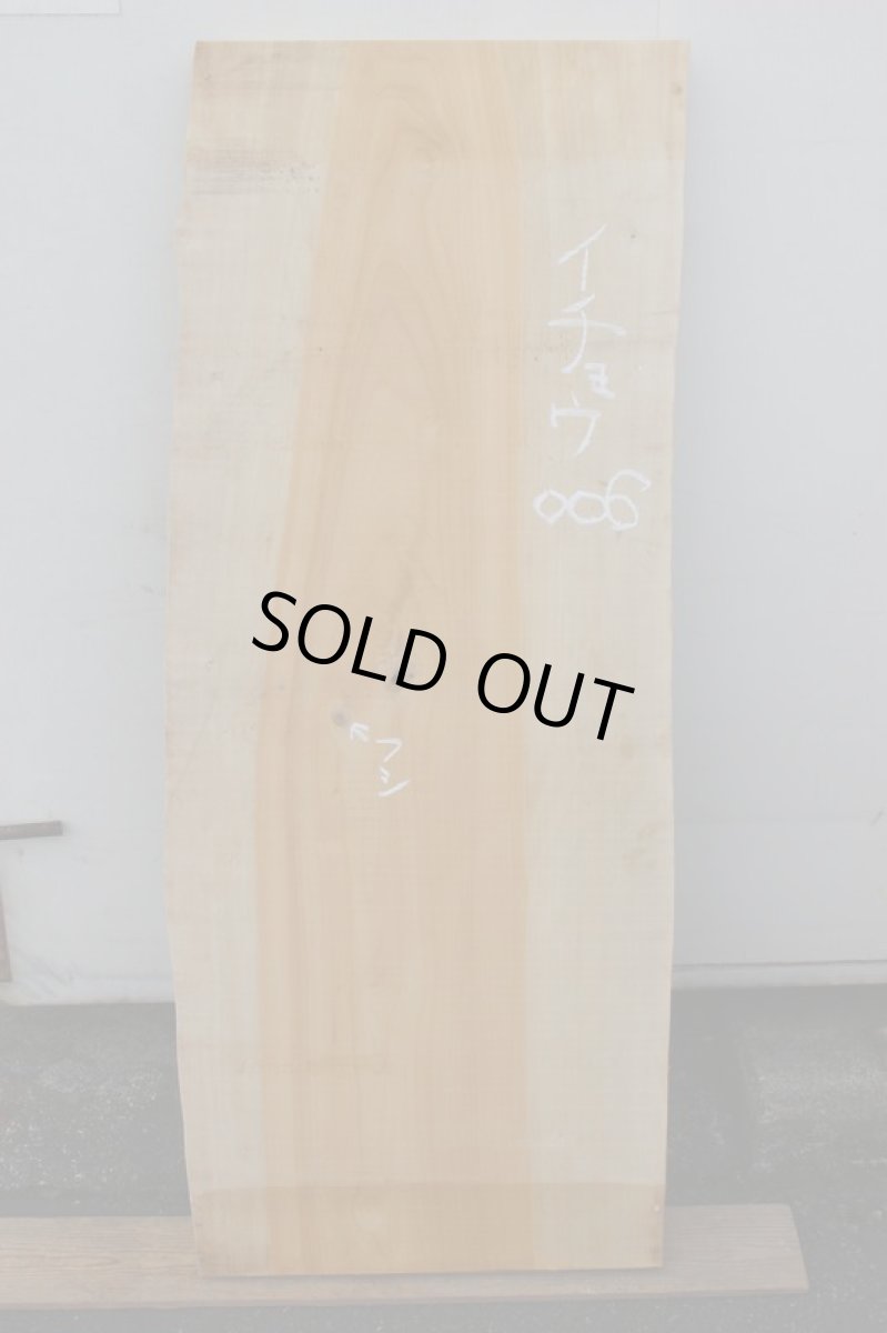 画像2: 銀杏(イチョウ)-006 (2)