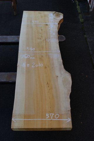 銀杏（イチョウ） - ウッドショップシンマ