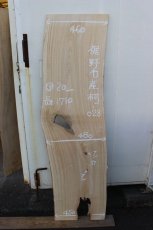 画像1: 桐(キリ)-028 (1)