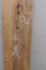 画像4: シナ-002 (4)