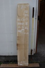 画像1: B-020 (1)
