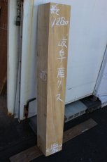 画像1: 楠(クス)-075 (1)