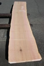 画像2: 肉桂（肉桂）-004 (2)