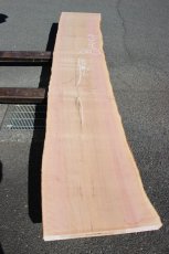 画像2: 肉桂（肉桂）-003 (2)