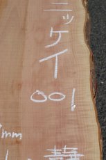 画像2: 肉桂（肉桂）-001 (2)