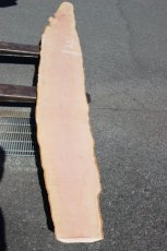 画像2: 肉桂（肉桂）-008 (2)